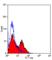 T Cell Receptor Alpha Constant antibody, MCA453G, Bio-Rad (formerly AbD Serotec) , Immunohistochemistry frozen image 