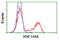 Ring Finger Protein 144B antibody, TA500712S, Origene, Flow Cytometry image 