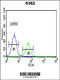 Cathepsin E antibody, 62-330, ProSci, Immunofluorescence image 