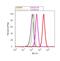 Regulatory Associated Protein Of MTOR Complex 1 antibody, 42-4000, Invitrogen Antibodies, Flow Cytometry image 