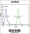 POTE ankyrin domain family member B antibody, 55-015, ProSci, Flow Cytometry image 