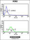 Melatonin-related receptor antibody, 63-903, ProSci, Flow Cytometry image 