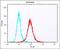 Family With Sequence Similarity 153 Member B antibody, orb2219, Biorbyt, Flow Cytometry image 