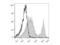 Thy-1 Cell Surface Antigen antibody, LS-C810998, Lifespan Biosciences, Flow Cytometry image 
