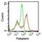 Podoplanin antibody, MA5-16270, Invitrogen Antibodies, Flow Cytometry image 