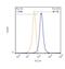 Spectrin Beta, Non-Erythrocytic 4 antibody, NBP2-44311, Novus Biologicals, Flow Cytometry image 