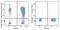 CD226 Molecule antibody, 338331, BioLegend, Flow Cytometry image 