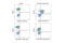 Lymphocyte Cytosolic Protein 2 antibody, 92711T, Cell Signaling Technology, Flow Cytometry image 