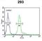 DEAD-Box Helicase 23 antibody, abx032325, Abbexa, Western Blot image 