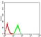 Phospholipase D2 antibody, NBP2-61784, Novus Biologicals, Flow Cytometry image 