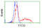 Tetratricopeptide Repeat Domain 32 antibody, TA501337, Origene, Flow Cytometry image 