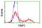 TIMP Metallopeptidase Inhibitor 2 antibody, LS-C173580, Lifespan Biosciences, Flow Cytometry image 