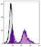 CD24 Molecule antibody, 98-979, ProSci, Immunohistochemistry frozen image 