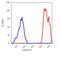 CD36 Molecule antibody, GTX78402, GeneTex, Flow Cytometry image 