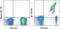 T Cell Receptor Alpha Constant antibody, 12-9955-41, Invitrogen Antibodies, Flow Cytometry image 