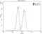 RAS Related 2 antibody, 12530-1-AP, Proteintech Group, Flow Cytometry image 