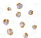 TNF Receptor Superfamily Member 14 antibody, LS-B1424, Lifespan Biosciences, Immunocytochemistry image 
