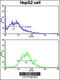 ADAM Metallopeptidase Domain 9 antibody, 62-909, ProSci, Flow Cytometry image 