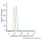 Keratin 8 antibody, NB120-9287AF488, Novus Biologicals, Flow Cytometry image 