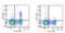 CD25 antibody, LS-C764390, Lifespan Biosciences, Flow Cytometry image 