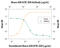 Junctional Adhesion Molecule 2 antibody, MAB988, R&D Systems, Western Blot image 