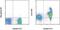 Antigen-presenting glycoprotein CD1d1 antibody, 12-0011-81, Invitrogen Antibodies, Flow Cytometry image 