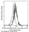 Activated Leukocyte Cell Adhesion Molecule antibody, 90227-R018-F, Sino Biological, Flow Cytometry image 