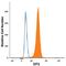 GIT ArfGAP 1 antibody, MAB8508, R&D Systems, Flow Cytometry image 