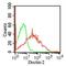 C-Type Lectin Domain Containing 6A antibody, MA5-16250, Invitrogen Antibodies, Flow Cytometry image 