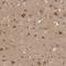 VPS50 Subunit Of EARP/GARPII Complex antibody, NBP1-88012, Novus Biologicals, Immunohistochemistry frozen image 