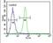 Biglycan antibody, PA5-13700, Invitrogen Antibodies, Flow Cytometry image 