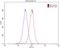 RAK antibody, 16197-1-AP, Proteintech Group, Flow Cytometry image 