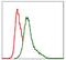 Integrin Subunit Beta 1 antibody, GTX60564, GeneTex, Flow Cytometry image 
