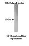 Syndecan 1 antibody, NBP2-50314, Novus Biologicals, Western Blot image 