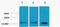 Histone H3 antibody, STJ97218, St John