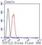 Transcription Factor 7 Like 2 antibody, NBP2-67618, Novus Biologicals, Flow Cytometry image 