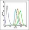 Structural Maintenance Of Chromosomes 1A antibody, orb6987, Biorbyt, Flow Cytometry image 