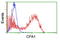 Carboxypeptidase A1 antibody, TA504519, Origene, Flow Cytometry image 