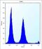 RNA Polymerase II Subunit G antibody, abx026827, Abbexa, Flow Cytometry image 