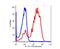 CD7 Molecule antibody, FC01974-FITC, Boster Biological Technology, Flow Cytometry image 