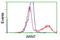 Aryl Hydrocarbon Receptor Nuclear Translocator antibody, LS-C115267, Lifespan Biosciences, Flow Cytometry image 