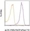 LCK Proto-Oncogene, Src Family Tyrosine Kinase antibody, 46-9076-42, Invitrogen Antibodies, Flow Cytometry image 