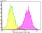 Hypoxia Inducible Factor 1 Subunit Alpha Inhibitor antibody, NBP2-76841, Novus Biologicals, Flow Cytometry image 