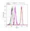 Forkhead Box G1 antibody, 702554, Invitrogen Antibodies, Flow Cytometry image 