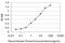 MYB Proto-Oncogene Like 2 antibody, H00004605-M02, Novus Biologicals, Enzyme Linked Immunosorbent Assay image 