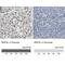 BCL2 Interacting Protein 3 Like antibody, NBP1-88558, Novus Biologicals, Immunohistochemistry paraffin image 