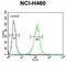 Coenzyme Q9 antibody, abx032334, Abbexa, Western Blot image 