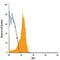 Interferon Regulatory Factor 5 antibody, IC4508N, R&D Systems, Flow Cytometry image 