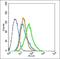 Frizzled Class Receptor 4 antibody, orb156952, Biorbyt, Flow Cytometry image 