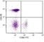 CD8b Molecule antibody, NBP1-28302, Novus Biologicals, Flow Cytometry image 